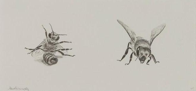 两只蜜蜂的图案.